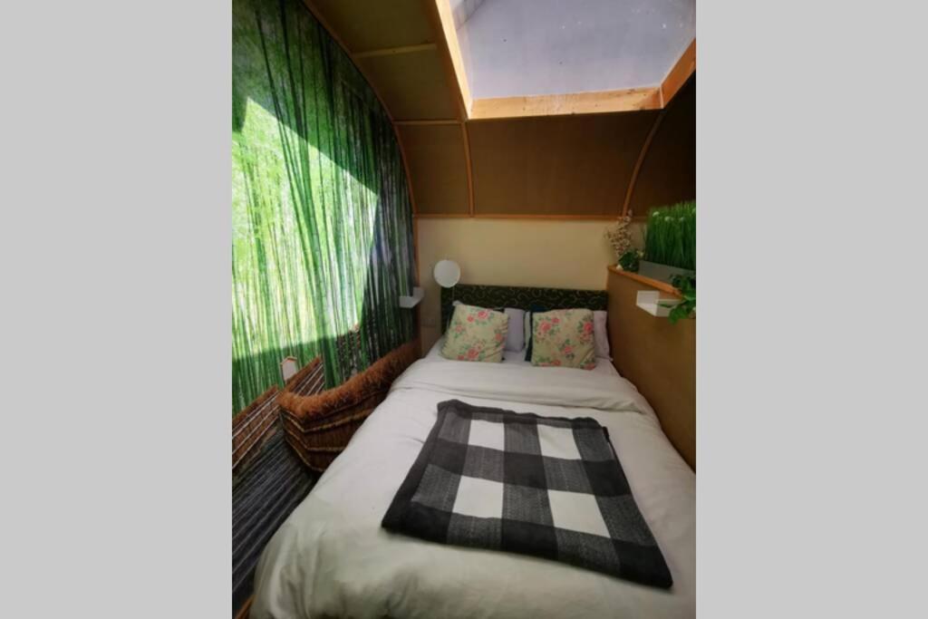 Lazy Lodge Glamping Pod With Hot Tub Laois Extérieur photo
